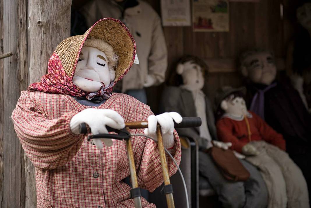 Bu köye gelenler gözlerine inanamıyor: Tüyler ürperten manzara! Hepsi yetişkin insan boyutlarında 28